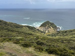 IMG_0023