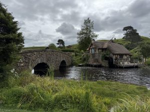 IMG_0560