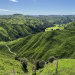 NEUSEELAND