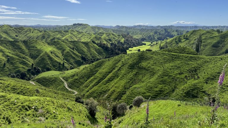 NEUSEELAND